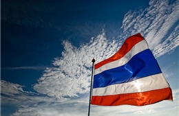 Du khách bị bắt do xé quốc kỳ Thái Lan