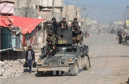 Các lực lượng Iraq siết chặt vòng vây IS tại Tây Mosul