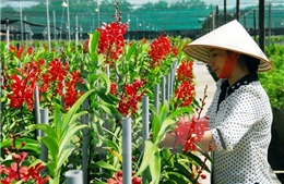 Quần chúng cảm tình đảng chưa tương xứng với số nông dân 