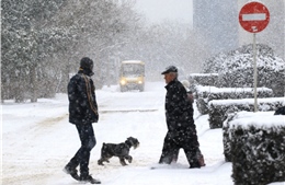 Giá lạnh hoành hành châu Âu, hơn 50 người thiệt mạng 