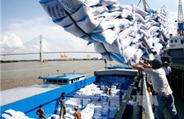 Philippines tăng cường nhập khẩu gạo từ Việt Nam và Thái Lan
