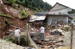 Khôi phục sản xuất vùng bị thiệt hại do thiên tai, dịch bệnh