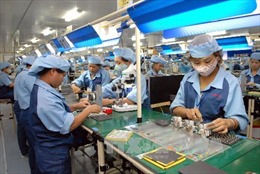 Kiện toàn BCĐ Chiến lược công nghiệp hóa trong khuôn khổ hợp tác Việt Nam - Nhật Bản