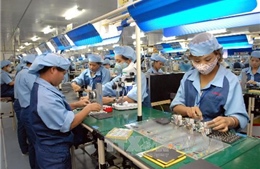 Đột phá trong thương mại Việt-Nhật, năm 2020 đạt kim ngạch 60 tỷ USD 