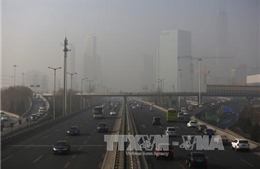  Miền Bắc Trung Quốc tiếp tục hứng chịu khói mù 