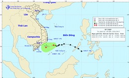 Vùng áp thấp trên biển Nam Trung Bộ đã mạnh trở lại