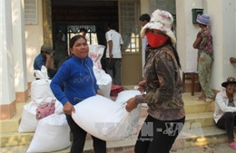 Chính phủ xuất cấp gạo cho 2 tỉnh Gia Lai, Đắk Lắk
