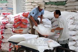 Gia hạn thỏa thuận thương mại gạo với Philipin đến hết năm 2018 
