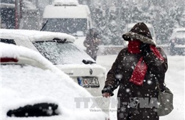 Tuyết rơi dày đặc tại Tunisia, cả nghìn xe mắc kẹt trên đường