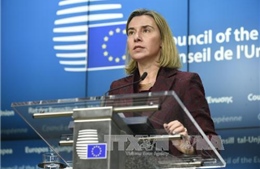 Hội nghị ngoại trưởng EU tập trung thảo luận tình hình Syria và Trung Đông