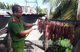 Xử lý nhiều phương tiện vận chuyển động vật, thủy sản vi phạm