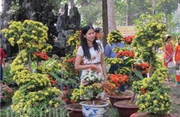 Hơn 100 chợ hoa Tết cho người dân du Xuân