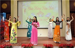 Đại sứ quán Việt Nam tại Trung Quốc tổ chức Tết Cộng đồng
