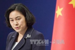 Trung Quốc sẵn sàng tăng cường hợp tác với Nga