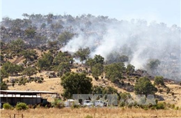 Cháy rừng, nắng nóng lan rộng tại Australia