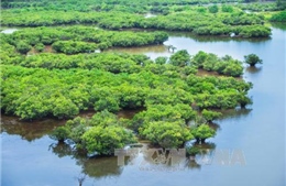 Bảo tồn và sử dụng bền vững các vùng đất ngập nước