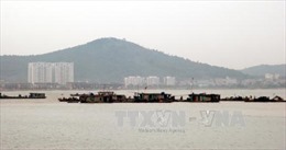 Quảng Ninh cho phép khai thác cát xốp để phục vụ nuôi trồng thủy sản