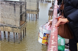 Độc đáo ‘công nghệ’ giúp dân thả cá chép từ cầu Long Biên