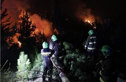 Đánh vật với 26 đám cháy rừng, Chile kêu gọi quốc tế giúp đỡ