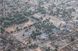 Hơn 200 người thiệt mạng trong vụ không kích trại tị nạn Nigeria
