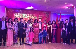 Cộng đồng người Việt tại Hà Lan mừng xuân Đinh Dậu