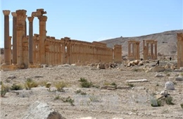 Phá hủy di tích cổ ở Palmyra, IS phạm &#39;tội ác chiến tranh&#39;