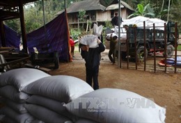 Hỗ trợ gần 1.700 tấn gạo cho nhân dân 2 tỉnh Quảng Bình, Sóc Trăng 