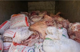 Tiêu hủy nhiều tạ thịt lợn bẩn ở Bình Phước