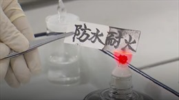 Trung Quốc sáng chế ra giấy chống lửa và nước