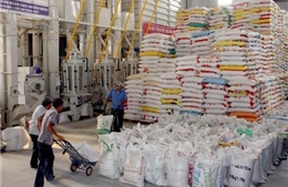 Thị trường xuất khẩu gạo vẫn trầm lắng 