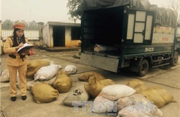 Hơn 2 tấn bì lợn thối bị bắt giữ