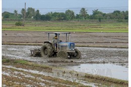Mưa làm ngập nhiều diện tích lúa vừa gieo sạ ở Thừa Thiên - Huế