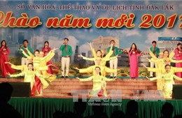Đắk Lắk tổ chức chương trình nghệ thuật mừng Đảng, mừng Xuân mới 