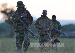 Al-Shabaab tấn công doanh trại quân đội Kenya, 9 quân nhân thiệt mạng 