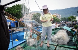 Trung Quốc chủ trương giảm đánh bắt cá 