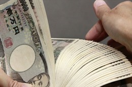 Ai Cập cân nhắc phát hành trái phiếu bằng đồng yên và NDT