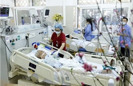 Tập trung cứu chữa nạn nhân vụ tai nạn giao thông ở Quảng Ninh
