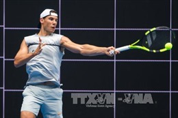 Nadal rút khỏi Davis Cup 2017 