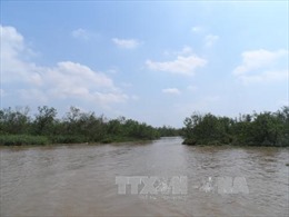 Nam Định trồng bổ sung rừng phòng hộ ven biển 
