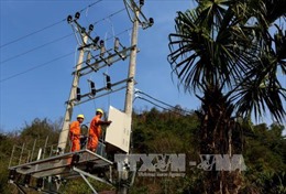Quy chế hoạt động của Ban Chỉ đạo quốc gia về phát triển điện lực 