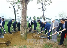 Nhân dân Thủ đô gương mẫu đi đầu và hăng hái thi đua trong việc trồng cây xanh 