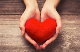 Bí quyết hẹn hò cách mới để chiếm lấy trái tim người đặc biệt ngày Valentine