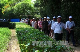 Thu hút du khách đến với quê hương của Chủ tịch Hồ Chí Minh 