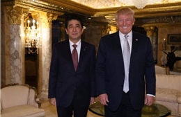 Thủ tướng Nhật Bản sắp gặp Tổng thống Mỹ Trump