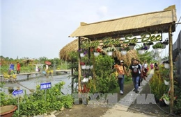 Đồng Tháp đề cao vai trò nghệ nhân trong phát triển du lịch cộng đồng 