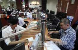 Hoàn thiện Đề án cơ cấu lại các tổ chức tín dụng giai đoạn 2016-2020