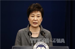Hàng trăm nghệ sỹ Hàn Quốc kiện bà Park Geun-hye