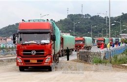 Phó Thủ tướng giao 6 nhiệm vụ trọng tâm phòng chống buôn lậu cho Lào Cai
