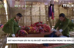 Bắt nghi phạm gây ra vụ án giết người nghiêm trọng tại Sơn La