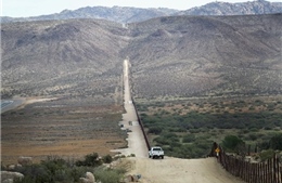 Tường biên giới Mexico - Mỹ đe dọa sự tồn vong của loài bướm chúa